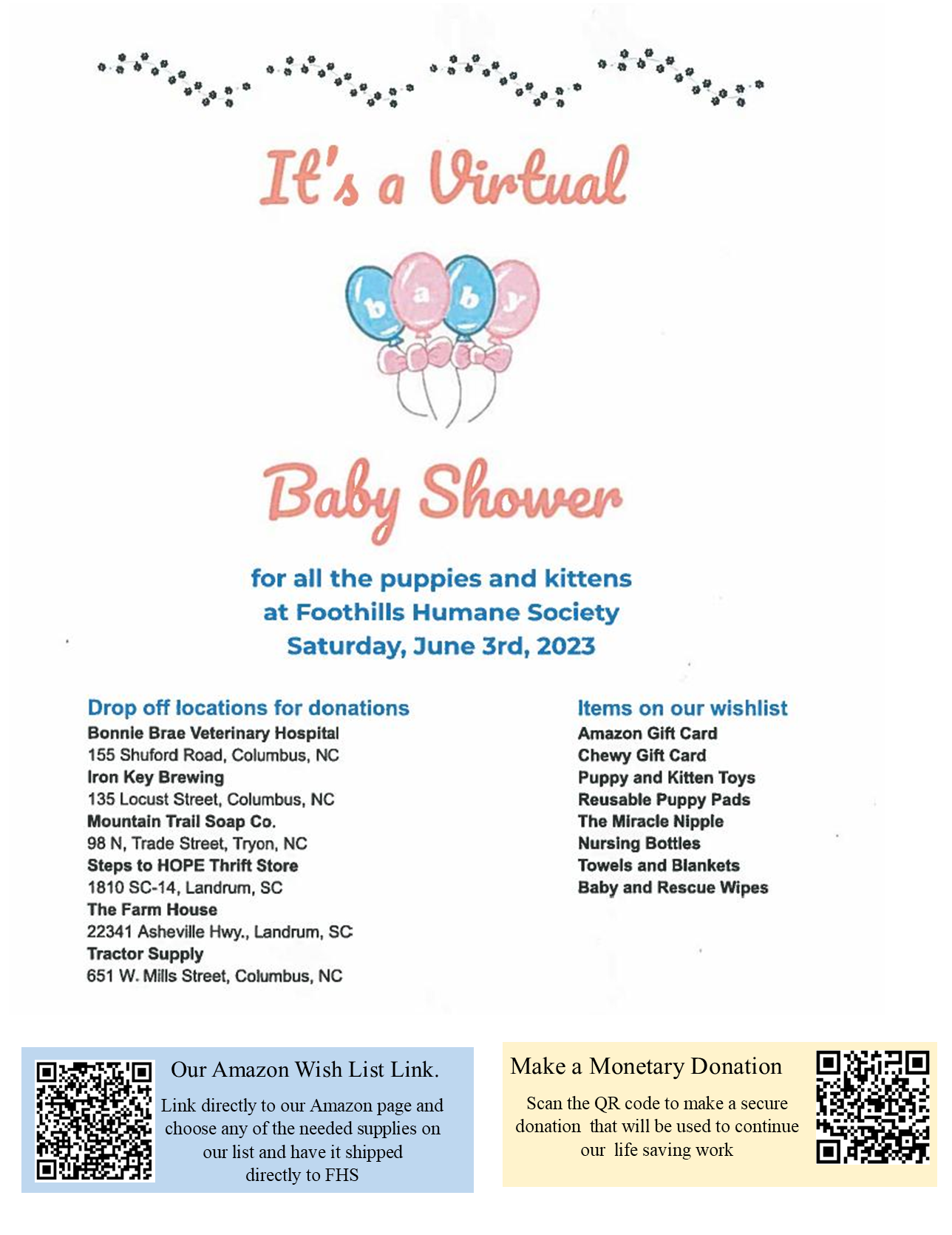 Virtual Baby Shower – June 3, 2023