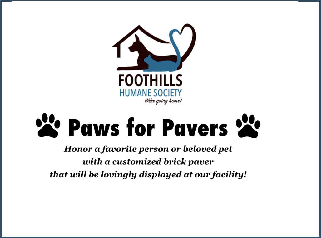 Paws for Pavers