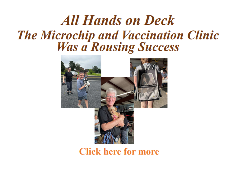 Vaccination Clinic Rousing Success