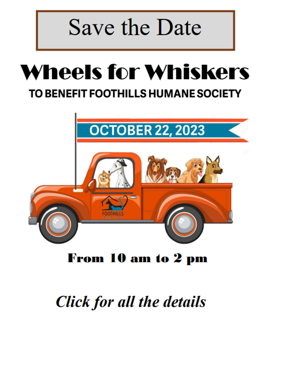 Wheels for Whiskers